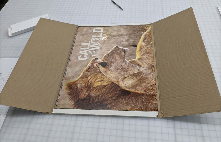 Pack-Box-lion